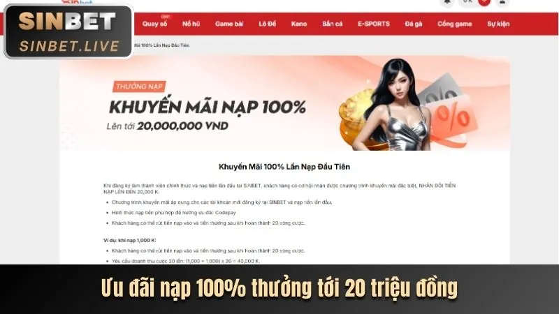 Hoàn trả casino tha thiên hạ bet